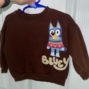 Zara 2/3 Bluey Sweater